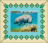 Pamlico by 